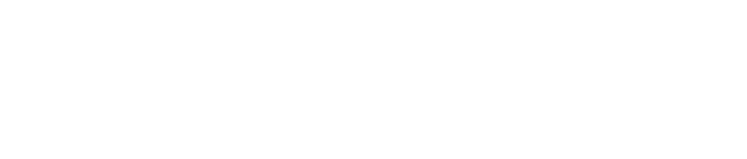 FIU SGA
