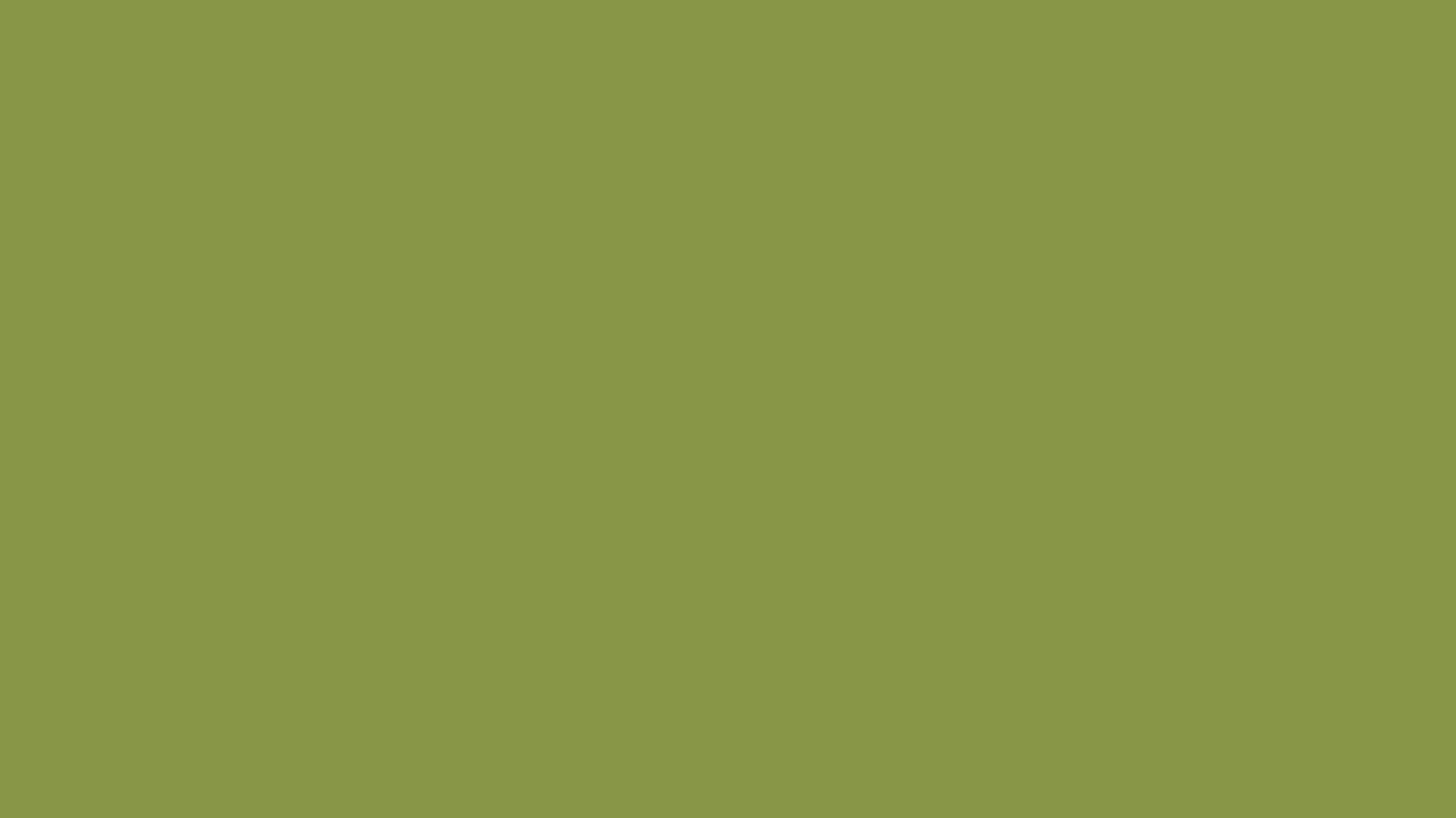 Forest background